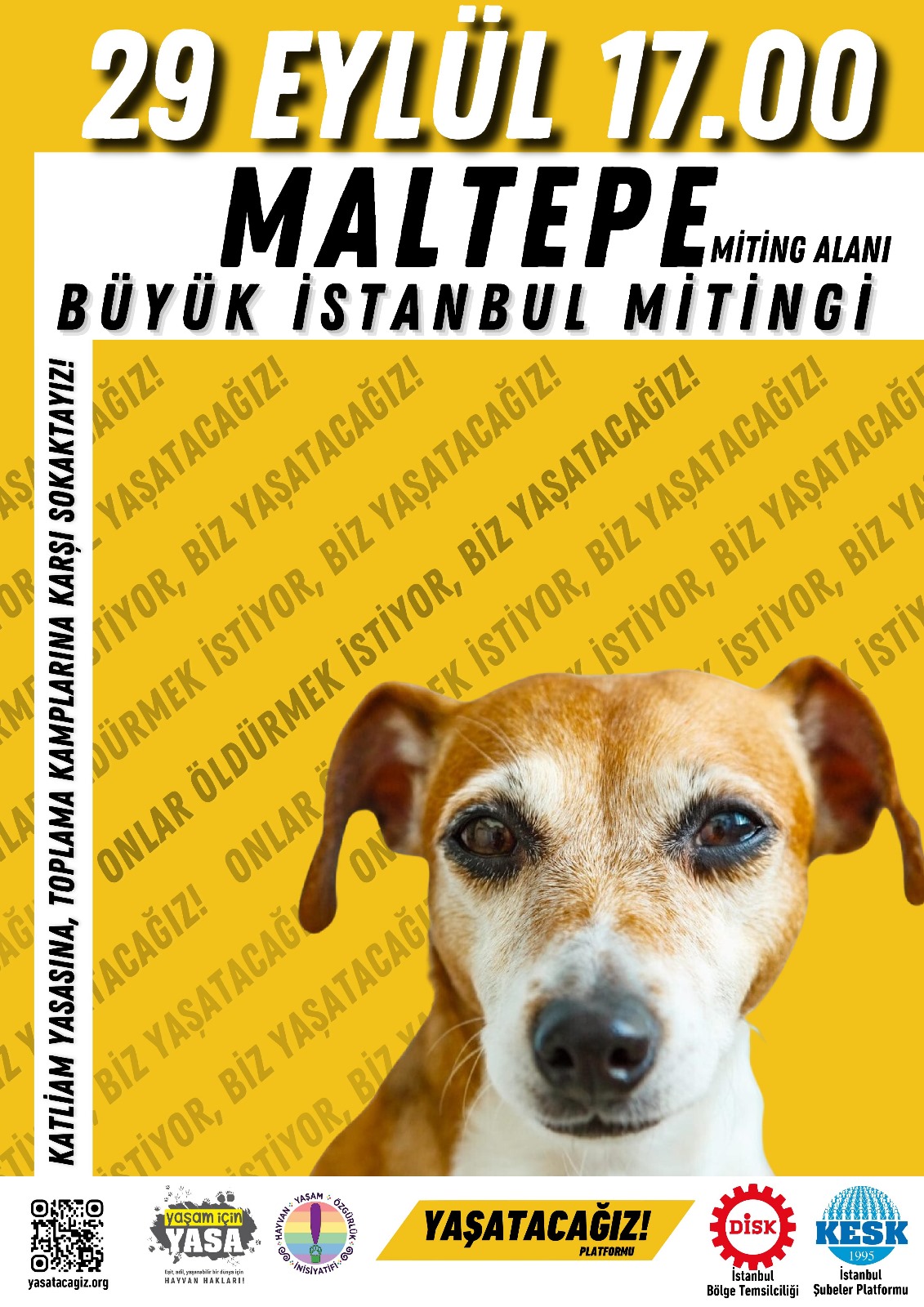 Sahipsiz hayvanların hakları için Maltepe'de miting